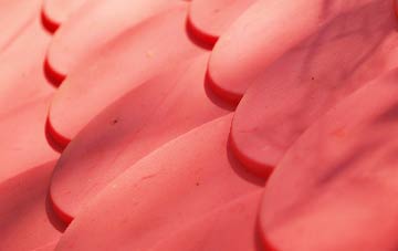 Hatch plastic roof costs